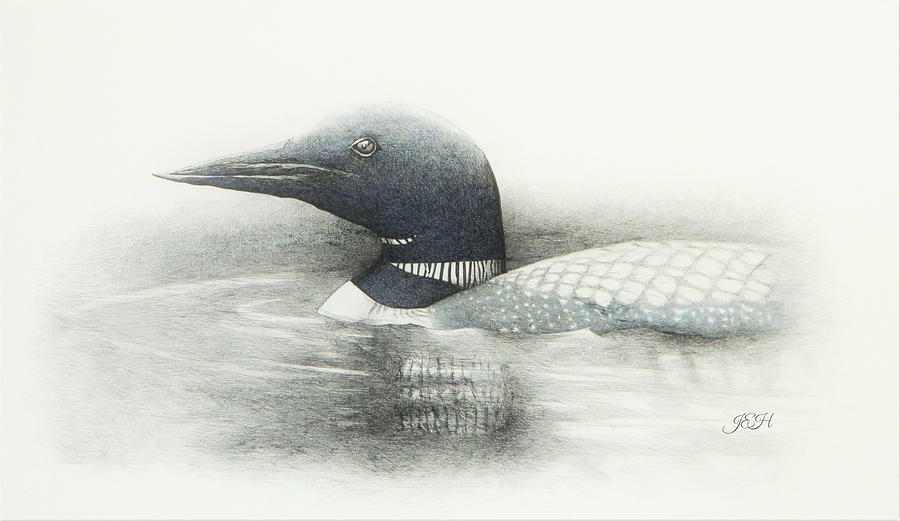 Loon Painting by Judy Imeson
