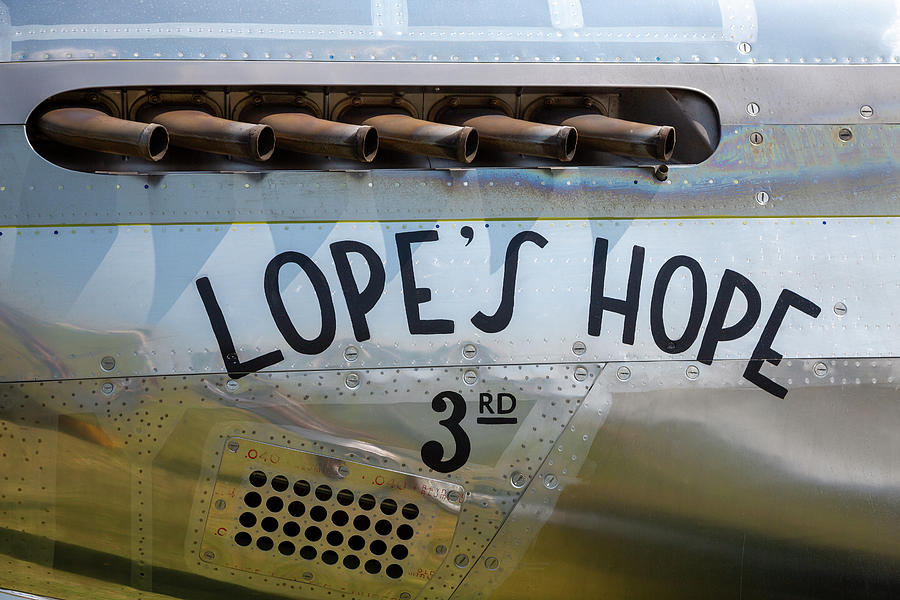 Lopes Hope  Photograph by Adam Romanowicz