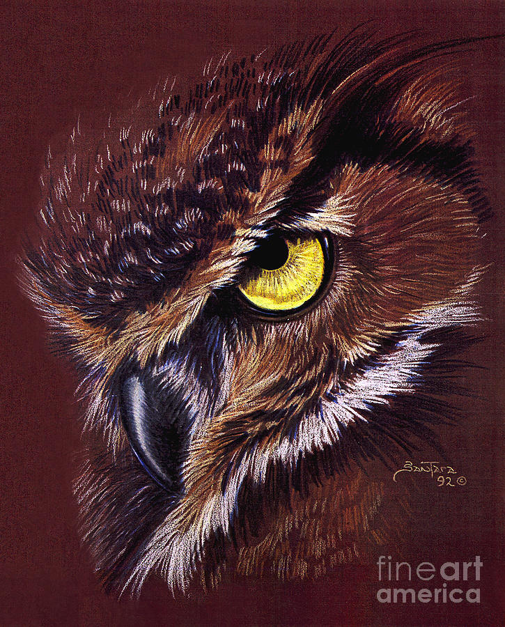 Great Horned Owl Drawing - Lord of Deception by Sandra SanTara
