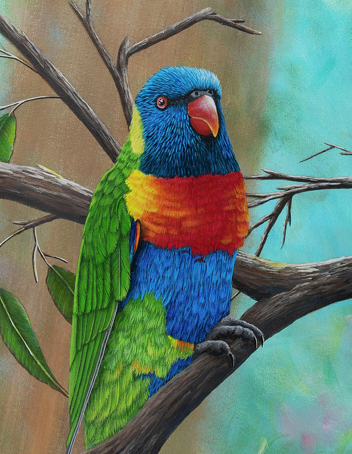 Lorikeet 3 Painting by Debra Dickson - Fine Art America