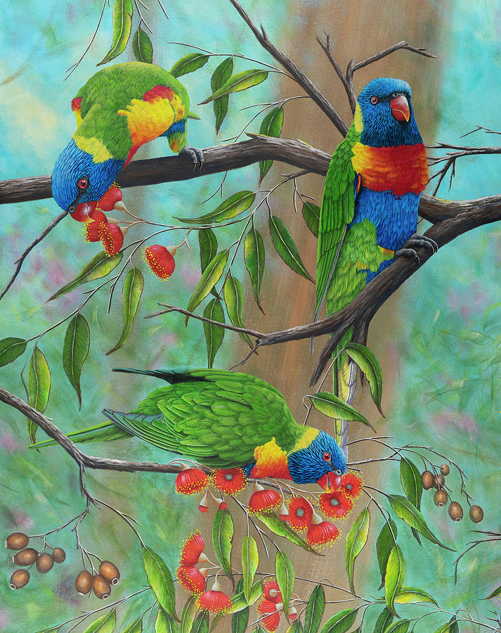 Lorikeets 5 Painting by Debra Dickson - Fine Art America