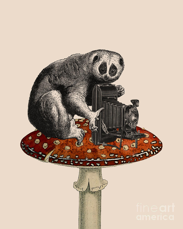 Wildlife Digital Art - Loris On Toadstool by Madame Memento