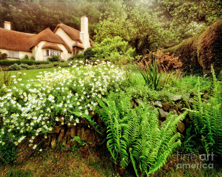 Lorna Doone Cottage Photograph by Edmund Nagele FRPS