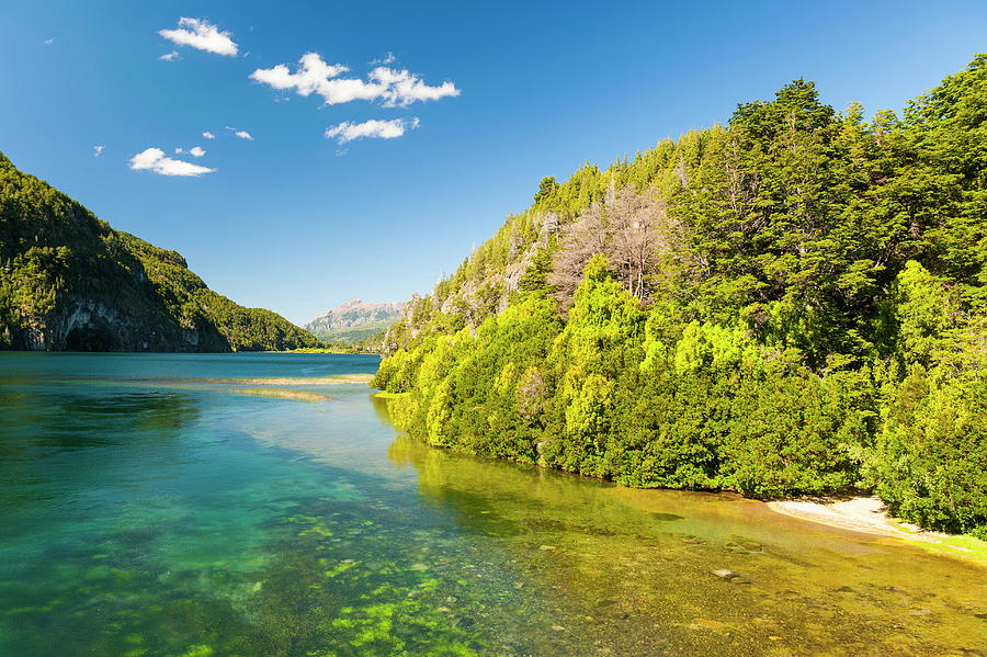 Los Alerces National Park Photograph by Michael Runkel - Fine Art America