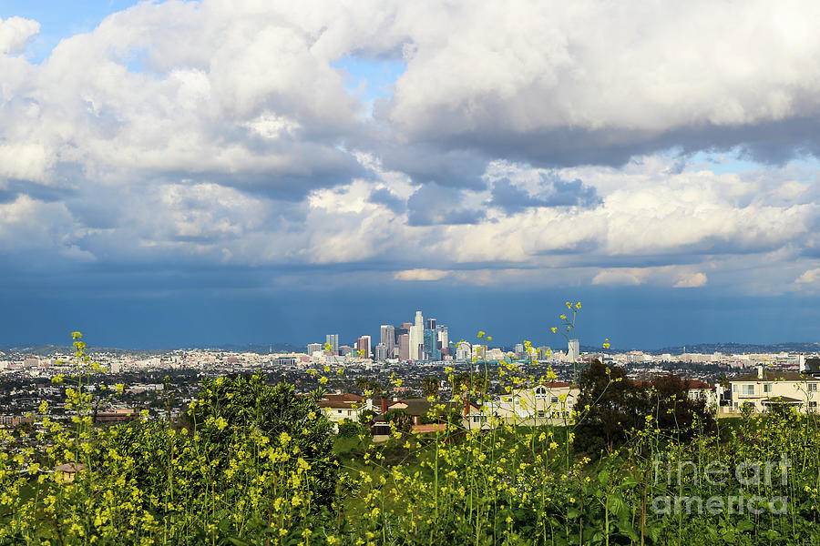 Los Angeles After Rain Photograph by Erin Marie Davis