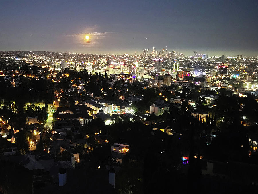 Los Angeles Landscape #5 Digital Art by John Waiblinger