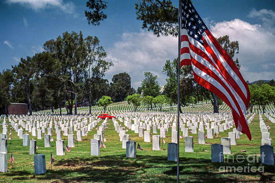 Los Angeles National Cemetery Photograph by David Zanzinger Fine Art