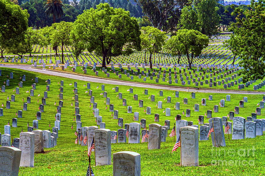 Los Angeles National Cemetery Headstones Photograph by David Zanzinger
