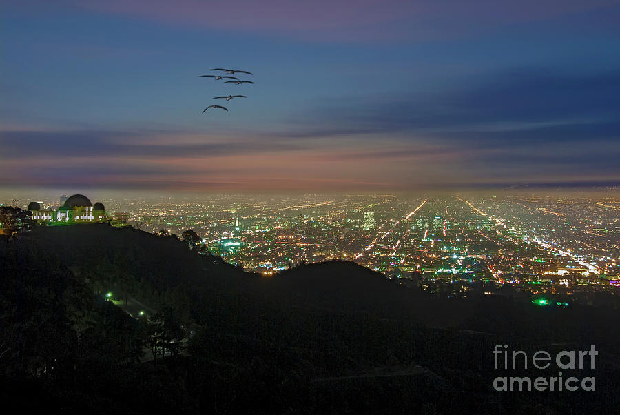 Los Angeles Night Cityscape  Photograph by David Zanzinger