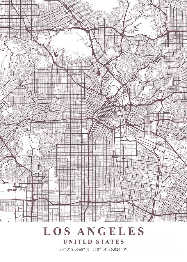 Los Angeles - United States Orchid Plane Map Photograph by Tien Stencil ...