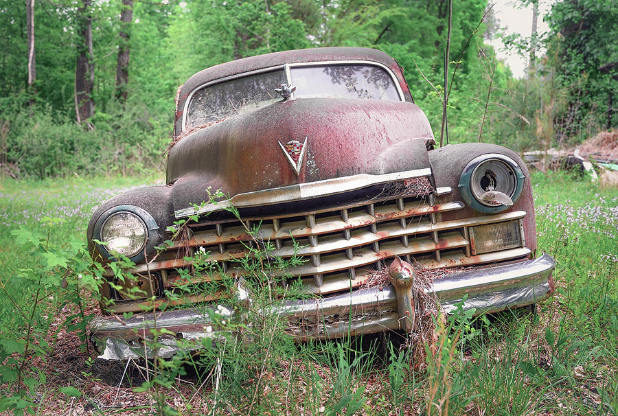 Lost Cadillac Photograph by Steven Nelson