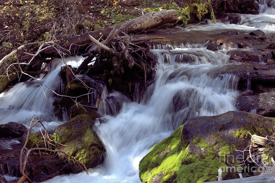 Lost Creek State Park #3 Waterfall Photograph by Kae Cheatham