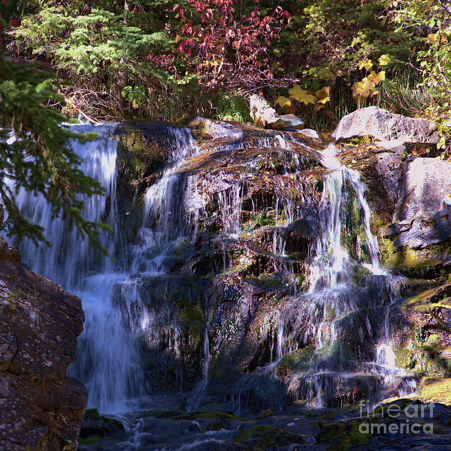Lost Creek Waterfall Photograph by Kae Cheatham