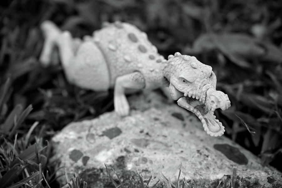 Lost Dragon Toy Photograph by Katherine Nutt