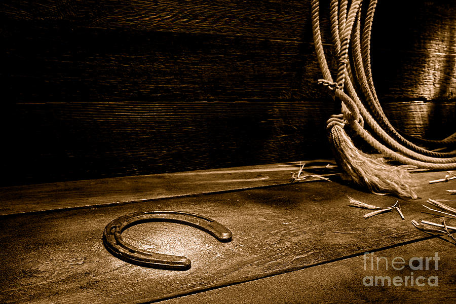 Lost Horseshoe - Sepia Photograph by Olivier Le Queinec