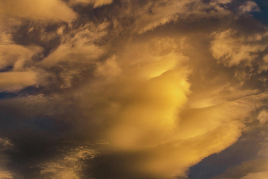 Lost In a Golden Cloud Photograph by James BO Insogna