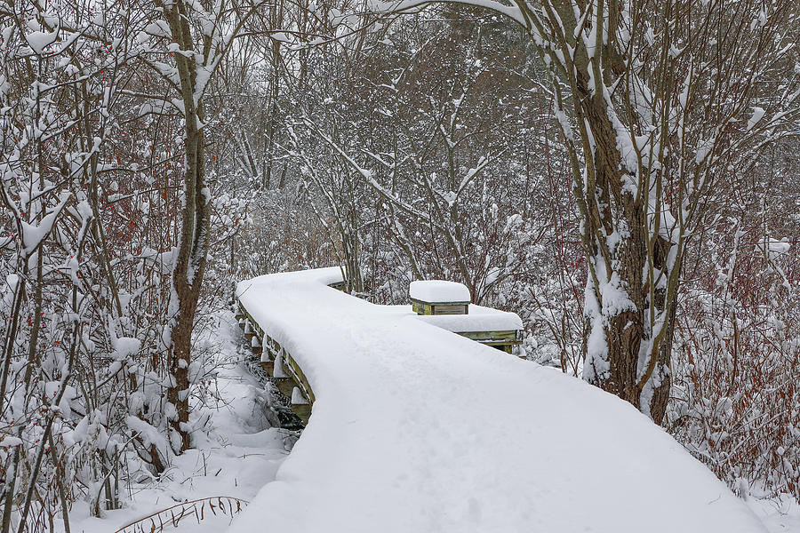Lost in a Winter Wonderland on a Snow Covered Path at Wellesley College Photograph by Juergen Roth