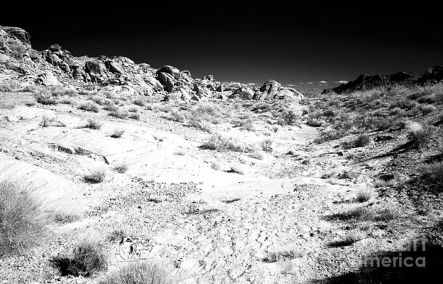 Lost in the Desert Infrared at the Valley of Fire Photograph by John Rizzuto