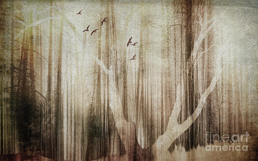 Lost in the Forest Digital Art by Edmund Nagele FRPS
