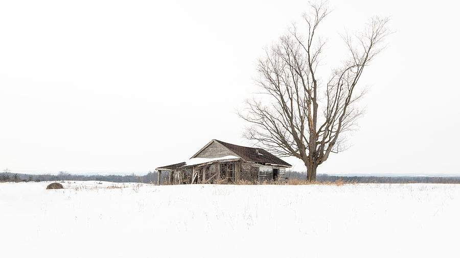 Lost in Time Winter Homestead Photograph by Dee Potter