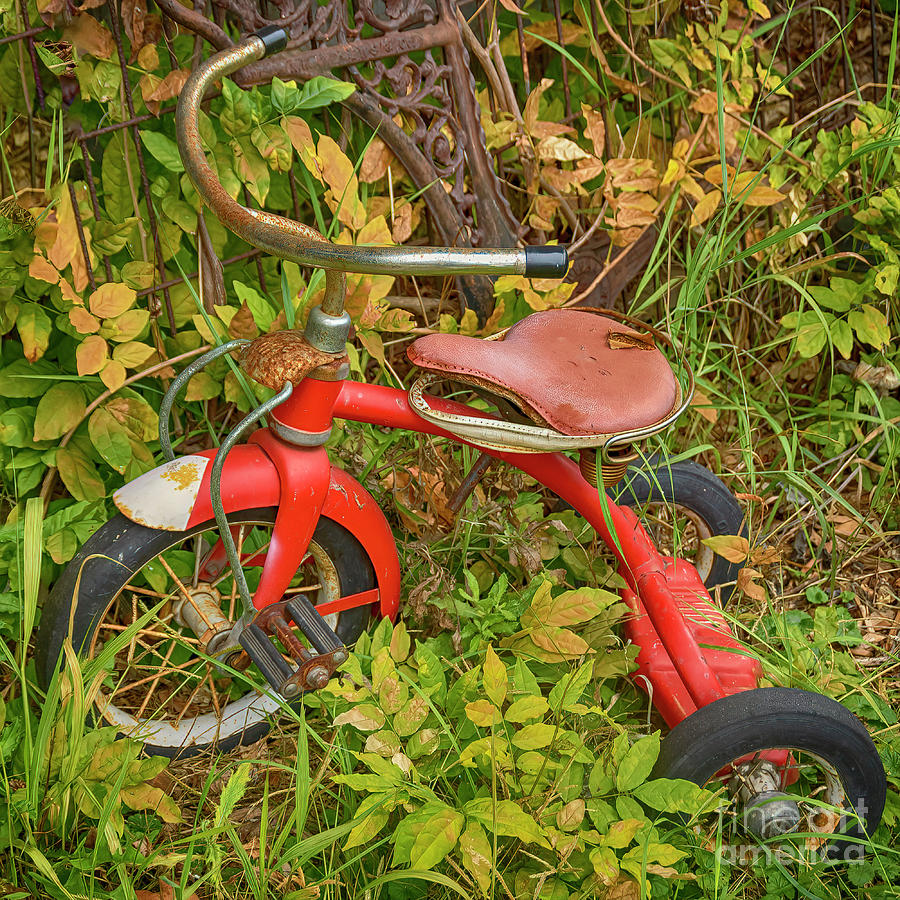 Summer Photograph - Lost by Janice Pariza