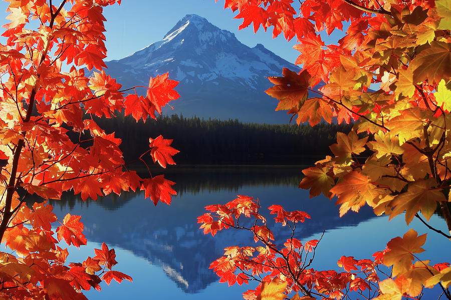 Lost Lake Autumn Photograph by Todd Kreuter