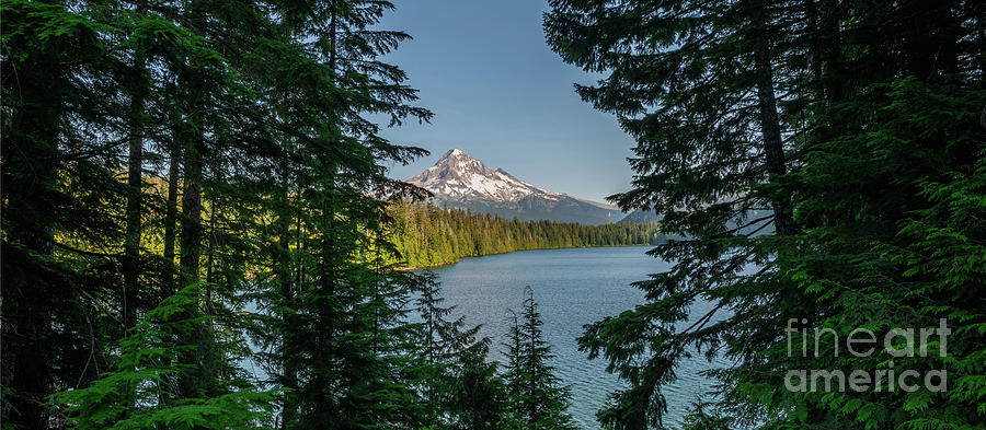 Lost Lake, Oregon  Photograph by Michael Ver Sprill