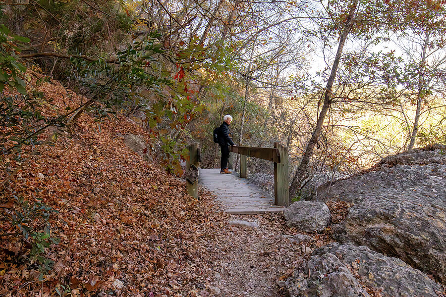 Crossing the Trail at Lost Maples State Natural Area Photograph by Brigitte Blanchette Thompson Crossing the Trail at Lost Maples State Natural Area Photograph by Brigitte Blanchette Thompson