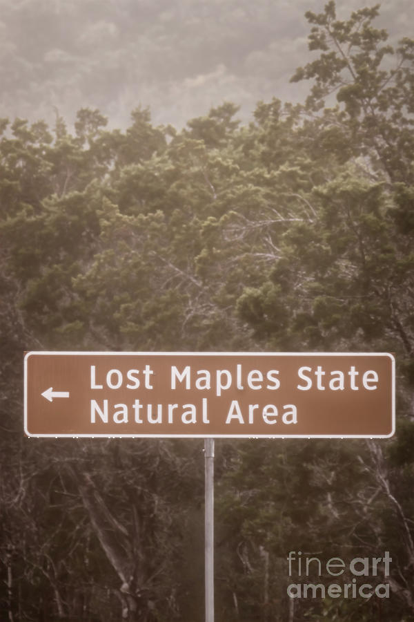 Lost Maples Sign Photograph by Imagery by Charly