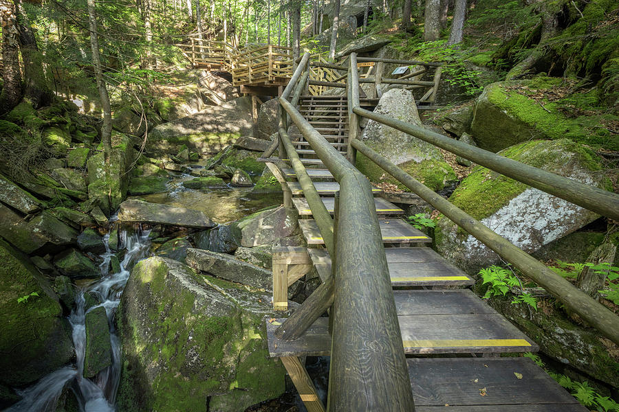 Lost River Boardwalk 65 Photograph by White Mountain Images