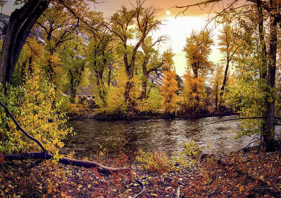 Nature Photograph - Lost river Idaho Autumn Color by Leland D Howard