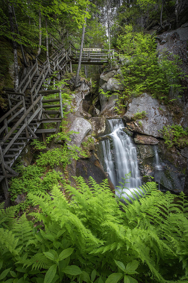 Lost River Paradise Falls Vertical Photograph by White Mountain Images