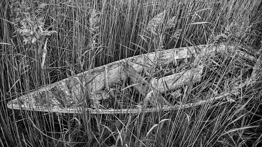 Lost Sailing Skiff Skeleton Black and White Photograph by Fon Denton