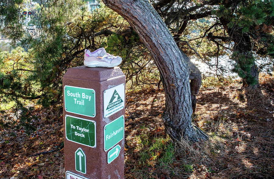 Lost Shoe beside South Bay Trail Photograph by Tom Cochran