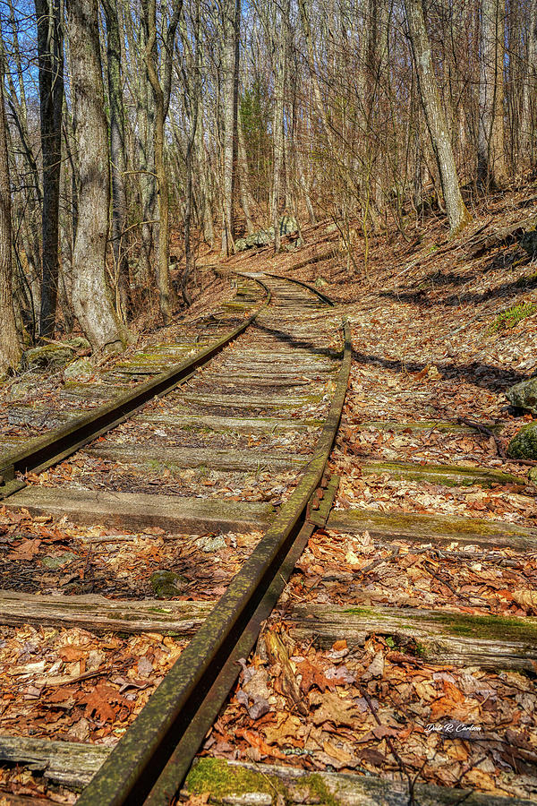 Lost Tracks Photograph by Dale R Carlson