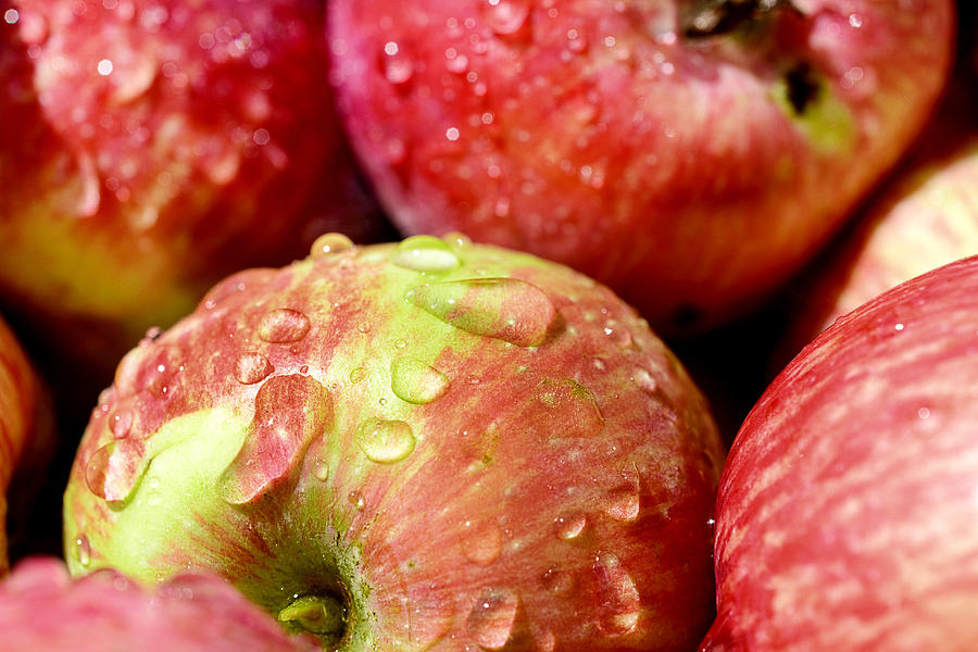 Lot Of Red Ripe Apples Covered With Transparent Water Droplets. Photograph by Nordroden