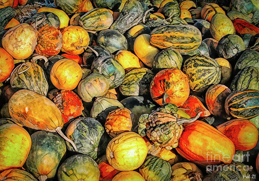 Lots of Pumpkins Photograph by Jutta Maria Pusl