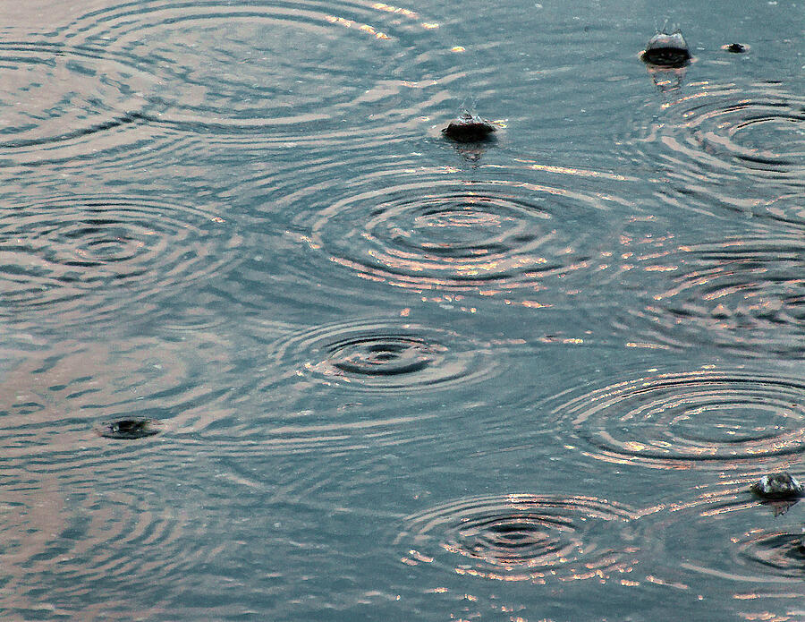 Lots of Rain - Photograph by Julie Weber