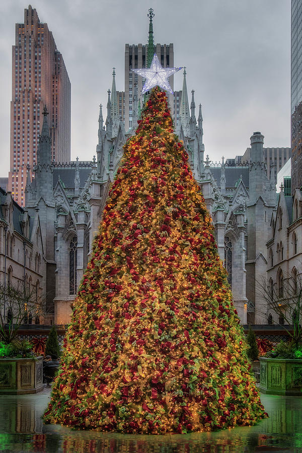 Christmas Photograph - Lotte NY Palace Xmas by Susan Candelario