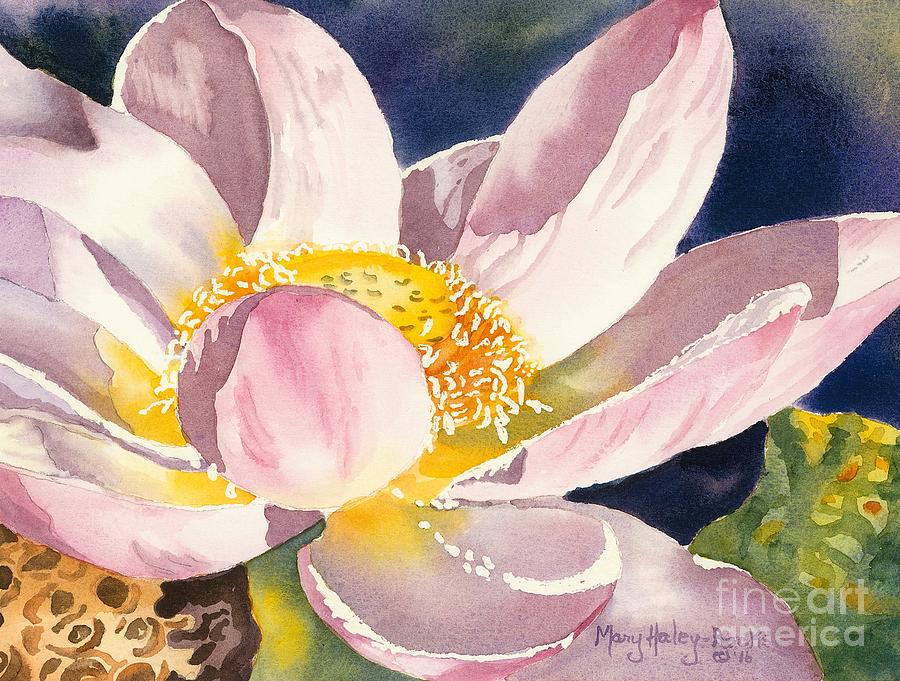 Lotus Bloom Painting by Mary Haley-Rocks