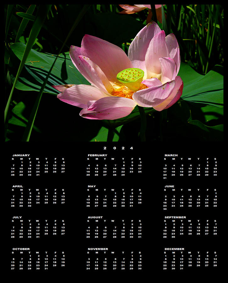 Lotus Blossom 2024 Calendar Single Page Photograph by Mike McBrayer