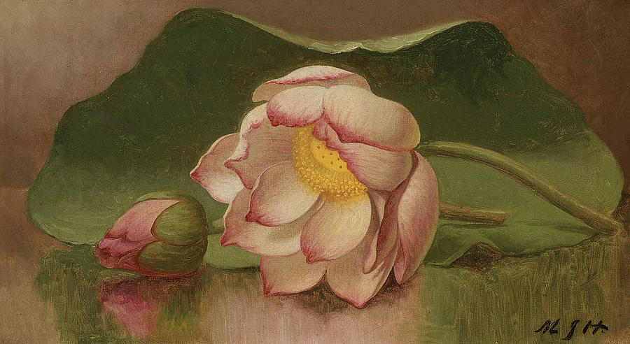 Lotus Blossom Painting by Martin Johnson Heade