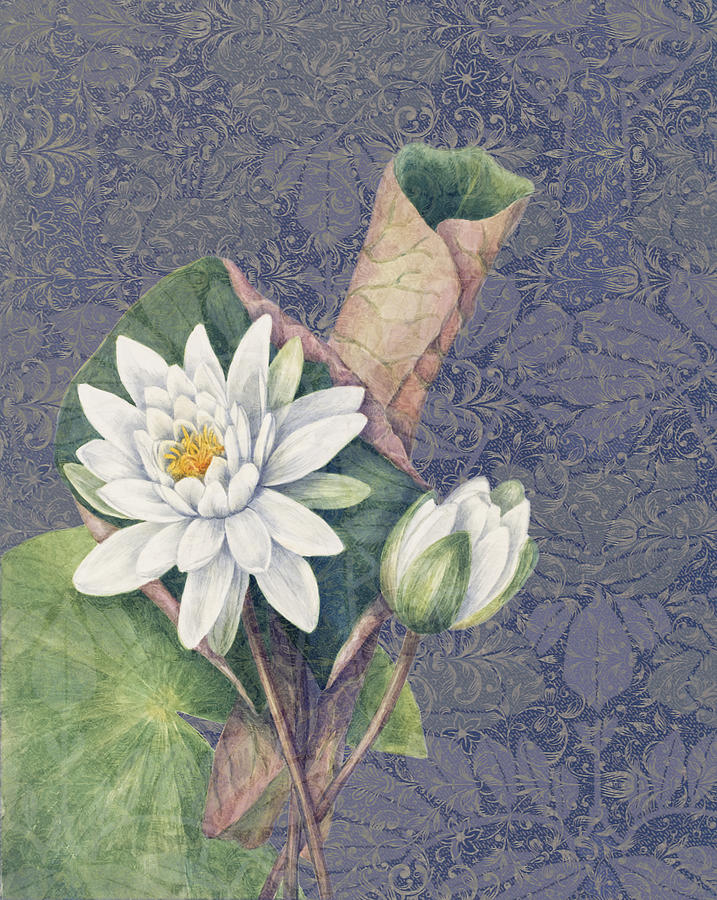 Lotus Digital Art by Cathleen Klibanoff