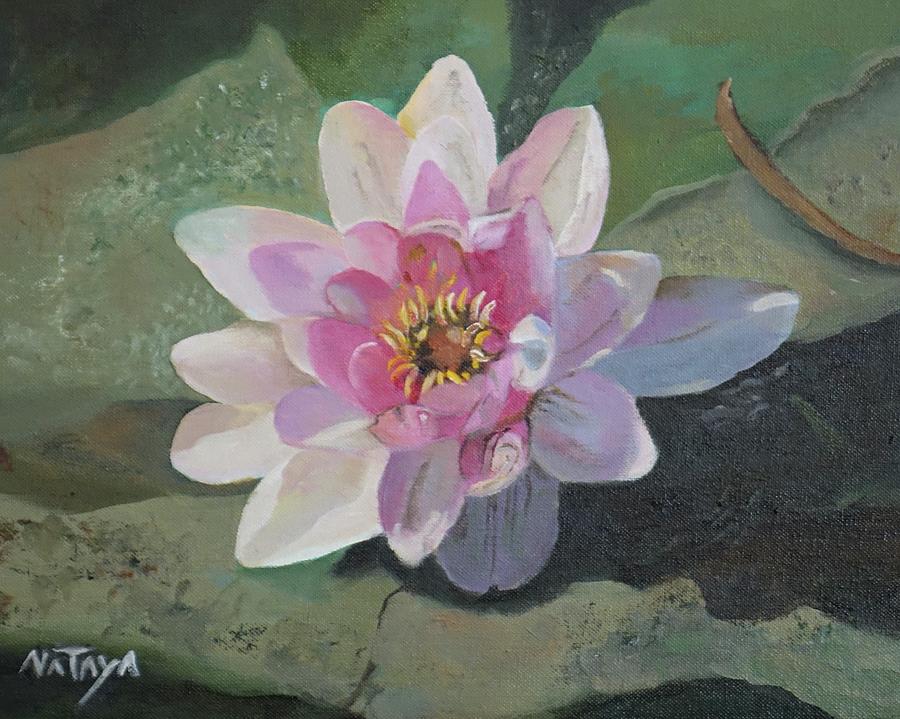 Lotus Divine Painting by Nataya Crow
