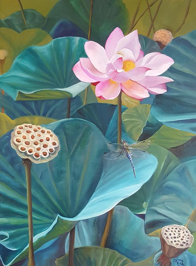 Lotus Dragon Painting by Connie Rish