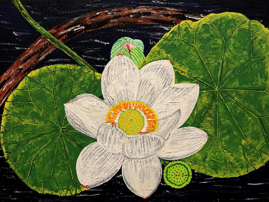 Lotus Painting - Lotus by Far I Shields