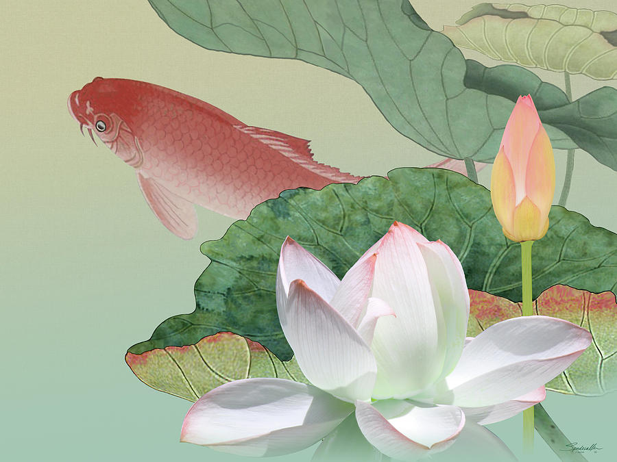 Lotus Flower and Koi Digital Art by M Spadecaller