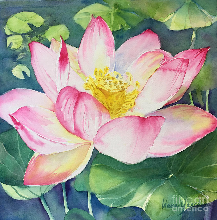 Lotus flower Painting by Liana Yarckin - Fine Art America