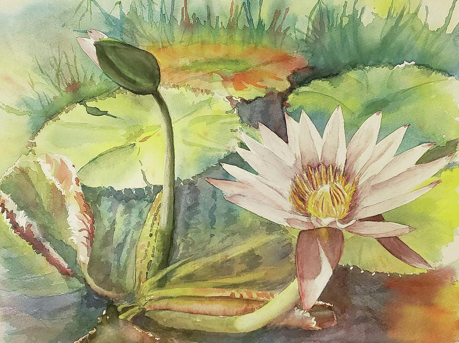 Lotus Flower Painting by Martha Lancaster