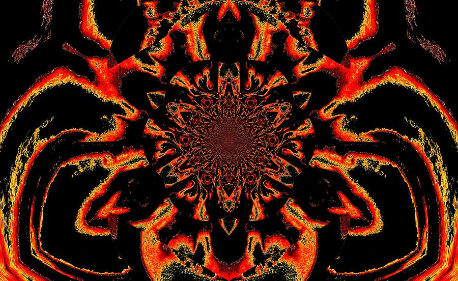 Lotus In Black And Orange Satin Digital Art by Sherrie Larch - Fine Art ...